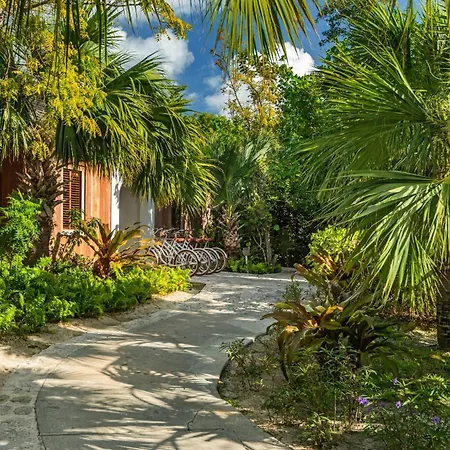 Como Parrot Cay-2