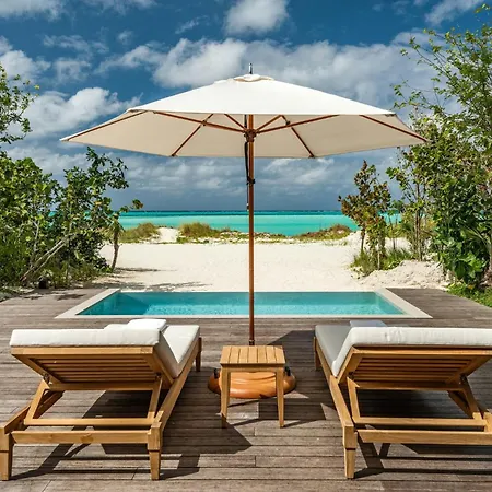 Como Parrot Cay-3